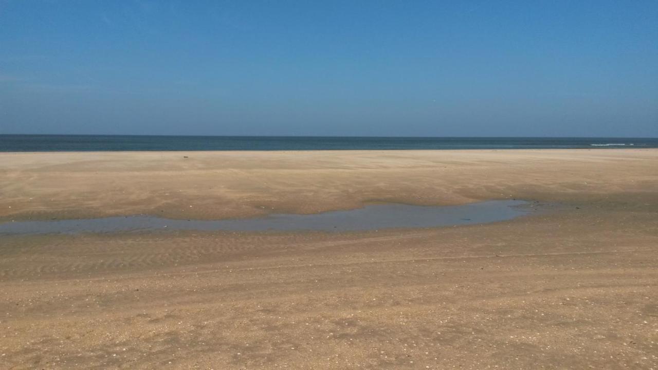 Vitamin Sea 하임스커크 외부 사진